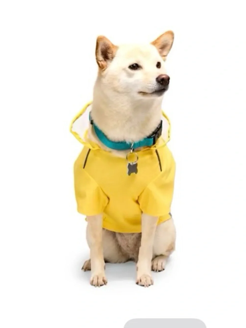 Youly Yellow Dog Raincoat with Reflective Trim - Waterproof Pet Jacket